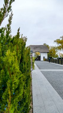 Süslü yeşil kozalaklı çalılar, kemerli bir yol, eski bir stil altında modern bir ev, sazdan çatı, beyaz duvarlar, sonbahar, yeşil, sarı, manzara, yürüyüş