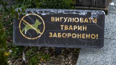Bir köpek resmi imzalayın, 