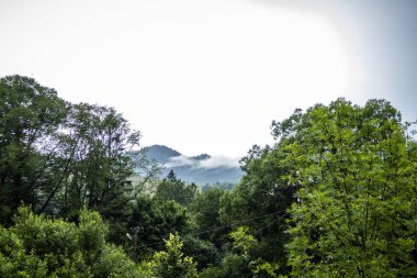gri gökyüzü, beyaz bulutlar, sis, dağlar, manzara, ağaçlar, yeşil yapraklar, seyahat, uzay, hafta sonu