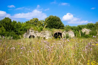 Çimlerdeki eski bir şatonun kalıntılarına bir gezi, antik bir duvardaki kemerler, taş işçiliği, yıkım, aşırı gelişmiş, tarihi anıt.