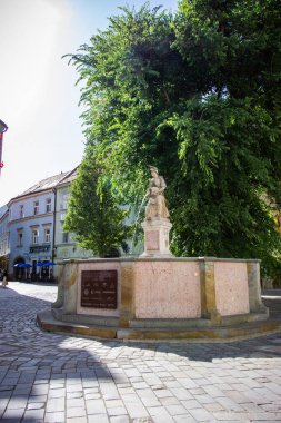 Şehrin merkezindeki meydanda heykeli olan bir çeşme, akan su, sıva, zarif evler, barok tarzı, beş-üç katlı, rahat, geniş, çatılar, Avrupa, ağaçlar, merkez, seyahat,