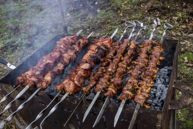 skewers with meat, on the grill, barbecue, fried, kebab, chicken hearts, appetizing, brown, iron kebab, smoke,