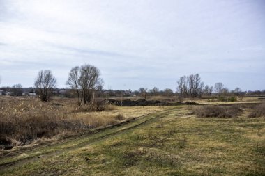 dry reeds, grass on the shore, country road, meadow, distant village, boulders, bare trees, bushes, space, gray sky, clouds, fallen leaves, garden, park, early spring,