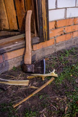 Balta, bahçe aleti, odun parçaları, kütükler, çimenlerin arasında, taze, beyaz kulübe, duvar, bahar, sebze bahçesi, bahçe.,