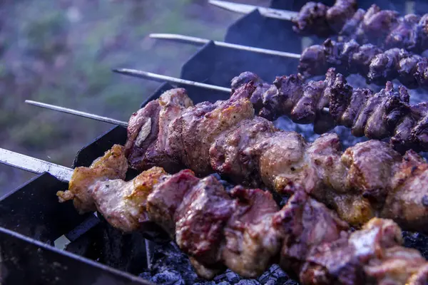 Kızarmış tavuk kalbi, barbekü, şişte et, duman, kızarmış, iştah açıcı, açık hava, şiş kebap, bulanık arka plan, bulanık, bahar, yaz