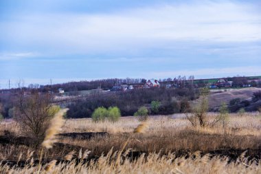 Kuru sazlıklar, ön planda, siyah kavrulmuş ot, kamış, ekolojik felaket, yangın arazisi, ağaçlar, uzaktaki evler, kırsal alan, otların içindeki yol, çıplak, rüzgar, mesafe, manzara, çayır, yabani ot, gökyüzü, bulutlar,