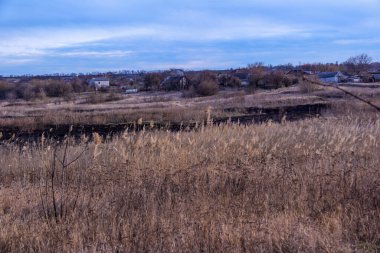 Kara kavrulmuş çimenler, kuru sazlıklar, ekolojik felaketler, yangından sonra, yanmış toprak, ağaçlar, çalılar, kırsallar, otların arasındaki patika, köyün arkasında, çıplak, rüzgar, uzak plan, manzara, çayır, yabani ot, gökyüzü, bulutlar,