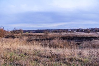 Kara kavrulmuş çimenler, kuru sazlıklar, ekolojik felaketler, yangından sonra, yanmış toprak, ağaçlar, çalılar, kırsallar, otların arasındaki patika, köyün arkasında, çıplak, rüzgar, uzak plan, manzara, çayır, yabani ot, gökyüzü, bulutlar,