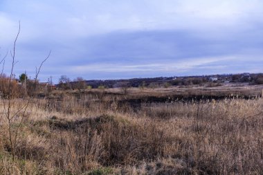 Kara kavrulmuş çimenler, kuru sazlıklar, ekolojik felaketler, yangından sonra, yanmış toprak, ağaçlar, çalılar, kırsallar, otların arasındaki patika, köyün arkasında, çıplak, rüzgar, uzak plan, manzara, çayır, yabani ot, gökyüzü, bulutlar,
