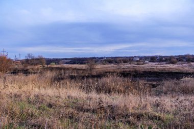 Kara kavrulmuş çimenler, kuru sazlıklar, ekolojik felaketler, yangından sonra, yanmış toprak, ağaçlar, çalılar, kırsallar, otların arasındaki patika, köyün arkasında, çıplak, rüzgar, uzak plan, manzara, çayır, yabani ot, gökyüzü, bulutlar,