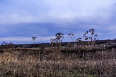 kuru otlar, gökyüzü arka planı, ön plan, siyah kavrulmuş ot, sazlıklar, ekolojik felaket, ağaçlar, uzaktaki evler, kırsal, çıplak, rüzgar, mesafe, manzara, çayır, yabani, çimen, gökyüzü, bulutlar,