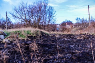 Kara kavrulmuş çimenler, kuru sazlıklar, ekolojik felaketler, yangından sonra, yanmış toprak, ağaçlar, çalılar, kırsallar, otların arasındaki patika, köyün arkasında, çıplak, rüzgar, uzak plan, manzara, çayır, yabani ot, gökyüzü, bulutlar,