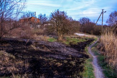 Kara kavrulmuş çimenler, kuru sazlıklar, ekolojik felaketler, yangından sonra, yanmış toprak, ağaçlar, çalılar, kırsallar, otların arasındaki patika, köyün arkasında, çıplak, rüzgar, uzak plan, manzara, çayır, yabani ot, gökyüzü, bulutlar,