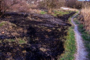 Kara kavrulmuş çimenler, kuru sazlıklar, ekolojik felaketler, yangından sonra, yanmış toprak, ağaçlar, çalılar, kırsallar, otların arasındaki patika, köyün arkasında, çıplak, rüzgar, uzak plan, manzara, çayır, yabani ot, gökyüzü, bulutlar,