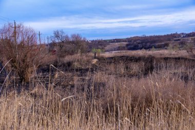 Kara kavrulmuş çimenler, kuru sazlıklar, ekolojik felaketler, yangından sonra, yanmış toprak, ağaçlar, çalılar, kırsallar, otların arasındaki patika, köyün arkasında, çıplak, rüzgar, uzak plan, manzara, çayır, yabani ot, gökyüzü, bulutlar,