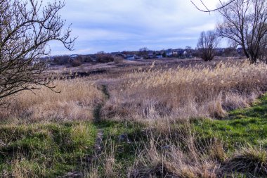 Yaylı sazlıklar, sazlıklar, püsküller, ağaçlar, çalılar, kır yolu, otların arasındaki patika, geniş taç, çıplak, rüzgar, uzak plan, manzara, çayır, vahşi çimen, gökyüzü, bulutlar, seyahat, kırsal bölge, sonbahar, yol, tarla