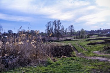 Yaylı sazlıklar, sazlıklar, püsküller, ağaçlar, çalılar, kır yolu, otların arasındaki patika, geniş taç, çıplak, rüzgar, uzak plan, manzara, çayır, vahşi çimen, gökyüzü, bulutlar, seyahat, kırsal bölge, sonbahar, yol, tarla