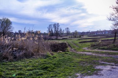 Yaylı sazlıklar, sazlıklar, püsküller, ağaçlar, çalılar, kır yolu, otların arasındaki patika, geniş taç, çıplak, rüzgar, uzak plan, manzara, çayır, vahşi çimen, gökyüzü, bulutlar, seyahat, kırsal bölge, sonbahar, yol, tarla