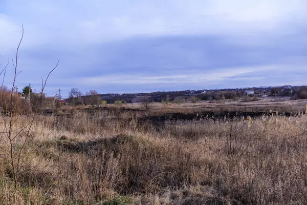Kara kavrulmuş çimenler, kuru sazlıklar, ekolojik felaketler, yangından sonra, yanmış toprak, ağaçlar, çalılar, kırsallar, otların arasındaki patika, köyün arkasında, çıplak, rüzgar, uzak plan, manzara, çayır, yabani ot, gökyüzü, bulutlar,
