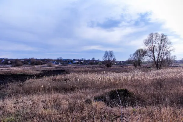 Kara kavrulmuş çimenler, kuru sazlıklar, ekolojik felaketler, yangından sonra, yanmış toprak, ağaçlar, çalılar, kırsallar, otların arasındaki patika, köyün arkasında, çıplak, rüzgar, uzak plan, manzara, çayır, yabani ot, gökyüzü, bulutlar,