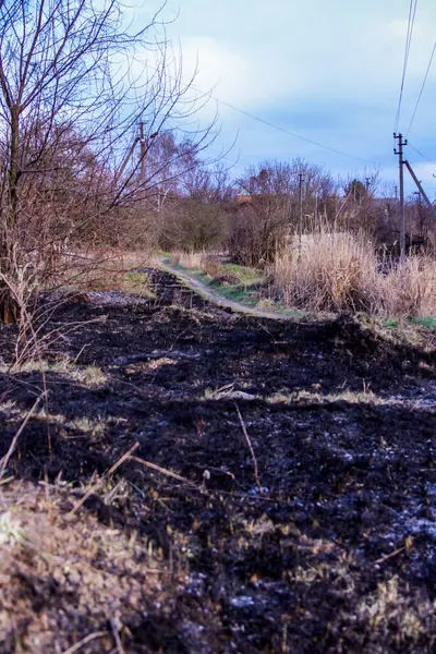 Kara kavrulmuş çimenler, kuru sazlıklar, ekolojik felaketler, yangından sonra, yanmış toprak, ağaçlar, çalılar, kırsallar, otların arasındaki patika, köyün arkasında, çıplak, rüzgar, uzak plan, manzara, çayır, yabani ot, gökyüzü, bulutlar,