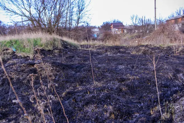 Kara kavrulmuş çimenler, kuru sazlıklar, ekolojik felaketler, yangından sonra, yanmış toprak, ağaçlar, çalılar, kırsallar, otların arasındaki patika, köyün arkasında, çıplak, rüzgar, uzak plan, manzara, çayır, yabani ot, gökyüzü, bulutlar,