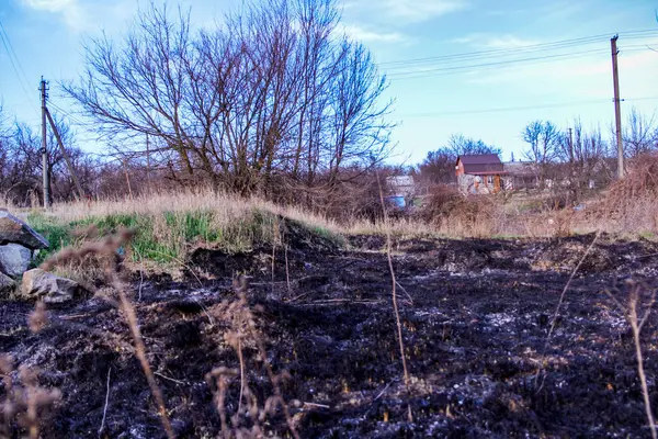 Kara kavrulmuş çimenler, kuru sazlıklar, ekolojik felaketler, yangından sonra, yanmış toprak, ağaçlar, çalılar, kırsallar, otların arasındaki patika, köyün arkasında, çıplak, rüzgar, uzak plan, manzara, çayır, yabani ot, gökyüzü, bulutlar,