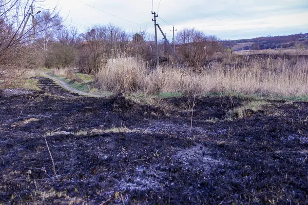Kara kavrulmuş çimenler, kuru sazlıklar, ekolojik felaketler, yangından sonra, yanmış toprak, ağaçlar, çalılar, kırsallar, otların arasındaki patika, köyün arkasında, çıplak, rüzgar, uzak plan, manzara, çayır, yabani ot, gökyüzü, bulutlar,
