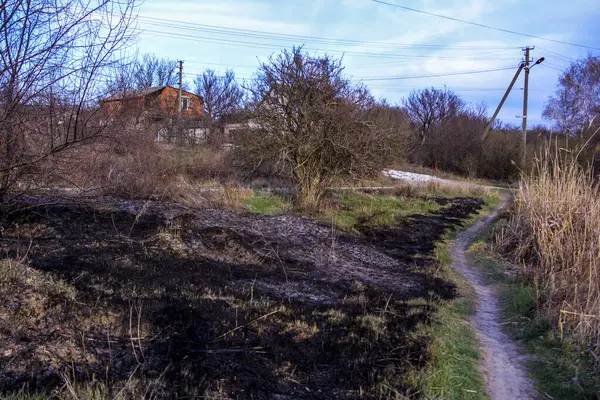 Kara kavrulmuş çimenler, kuru sazlıklar, ekolojik felaketler, yangından sonra, yanmış toprak, ağaçlar, çalılar, kırsallar, otların arasındaki patika, köyün arkasında, çıplak, rüzgar, uzak plan, manzara, çayır, yabani ot, gökyüzü, bulutlar,