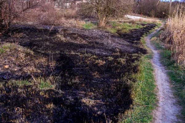 Kara kavrulmuş çimenler, kuru sazlıklar, ekolojik felaketler, yangından sonra, yanmış toprak, ağaçlar, çalılar, kırsallar, otların arasındaki patika, köyün arkasında, çıplak, rüzgar, uzak plan, manzara, çayır, yabani ot, gökyüzü, bulutlar,