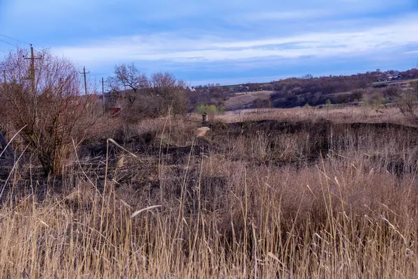 Kara kavrulmuş çimenler, kuru sazlıklar, ekolojik felaketler, yangından sonra, yanmış toprak, ağaçlar, çalılar, kırsallar, otların arasındaki patika, köyün arkasında, çıplak, rüzgar, uzak plan, manzara, çayır, yabani ot, gökyüzü, bulutlar,