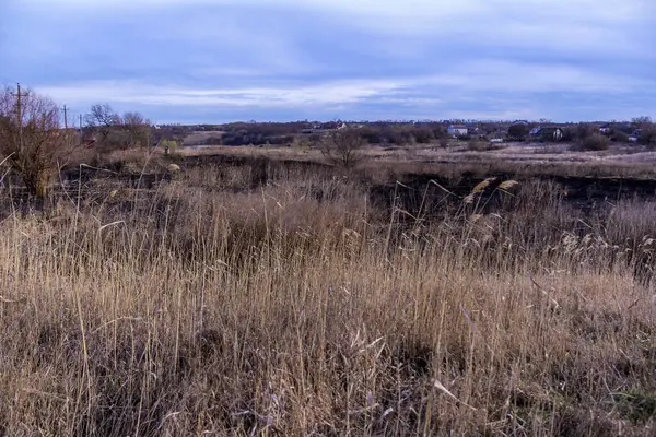 Kara kavrulmuş çimenler, kuru sazlıklar, ekolojik felaketler, yangından sonra, yanmış toprak, ağaçlar, çalılar, kırsallar, otların arasındaki patika, köyün arkasında, çıplak, rüzgar, uzak plan, manzara, çayır, yabani ot, gökyüzü, bulutlar,
