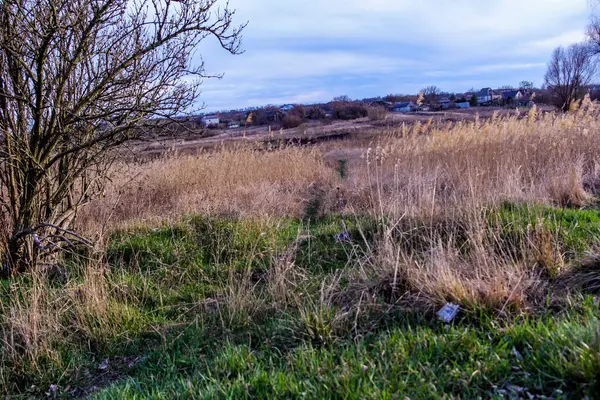Yaylı sazlıklar, sazlıklar, püsküller, ağaçlar, çalılar, kır yolu, otların arasındaki patika, geniş taç, çıplak, rüzgar, uzak plan, manzara, çayır, vahşi çimen, gökyüzü, bulutlar, seyahat, kırsal bölge, sonbahar, yol, tarla