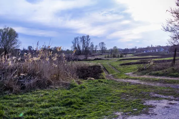 Yaylı sazlıklar, sazlıklar, püsküller, ağaçlar, çalılar, kır yolu, otların arasındaki patika, geniş taç, çıplak, rüzgar, uzak plan, manzara, çayır, vahşi çimen, gökyüzü, bulutlar, seyahat, kırsal bölge, sonbahar, yol, tarla
