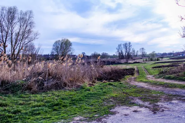 Yaylı sazlıklar, sazlıklar, püsküller, ağaçlar, çalılar, kır yolu, otların arasındaki patika, geniş taç, çıplak, rüzgar, uzak plan, manzara, çayır, vahşi çimen, gökyüzü, bulutlar, seyahat, kırsal bölge, sonbahar, yol, tarla