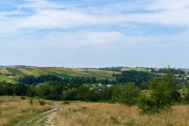 köy yolu, köyün dışı, sıcaklık, yeşil yapraklar, ağaçlar, tarlalar, çayırlar, panorama, seyahat, Avrupa, Ukrayna, arka plan mavi gökyüzü, gezinti, yürüyüş, çimen, patika, manzara