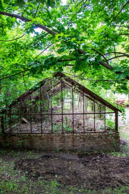 eski sera, paslı çerçeve, yabani üzümler, eski ağaçlar, kuru, yeşillik, çöp, okul alanı, bahçe, park, şehir, ekoloji, kirlilik, konut arazisi, manzara