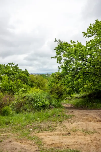 Şehir manzarası orman yolundan, uzaktaki evler, ufukta gri bulutlar, yağmur, bahar, şehir dışındaki yeşillik, uzak plan.