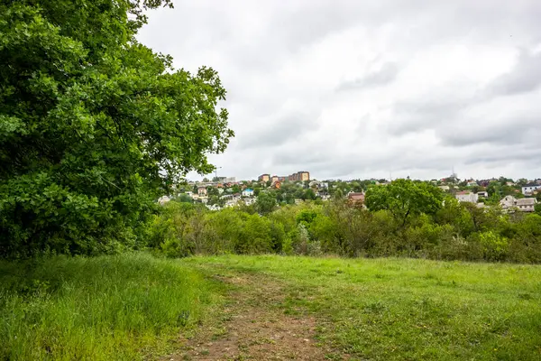 Yüksek binaların manzarası, kırsal bir yoldan gelen özel evler, şehirden uzakta, ufukta, gri bulutlar, yağmur, bahar, yeşillik, uzak plan