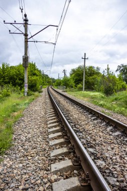 seyahat, demiryolu, raylar, uykucular, elektrik direkleri, yol kenarı manzarası, yol kenarındaki karışık çimenler, yeşil orman şeridi, şehir dışındaki manzara, günlük yaşam, yürüyüş, kırsal, yürüyüş, yolculuk, yol, yol, ulaşım