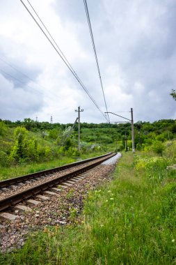 seyahat, demiryolu, raylar, uykucular, elektrik direkleri, yol kenarı manzarası, yol kenarındaki karışık çimenler, yeşil orman şeridi, şehir dışındaki manzara, günlük yaşam, yürüyüş, kırsal, yürüyüş, yolculuk, yol, yol, ulaşım