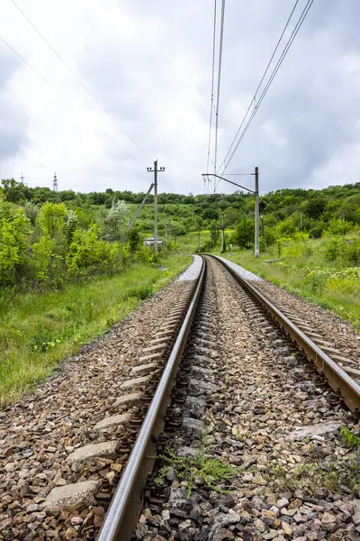 seyahat, demiryolu, raylar, uykucular, elektrik direkleri, yol kenarı manzarası, yol kenarındaki karışık çimenler, yeşil orman şeridi, şehir dışındaki manzara, günlük yaşam, yürüyüş, kırsal, yürüyüş, yolculuk, yol, yol, ulaşım