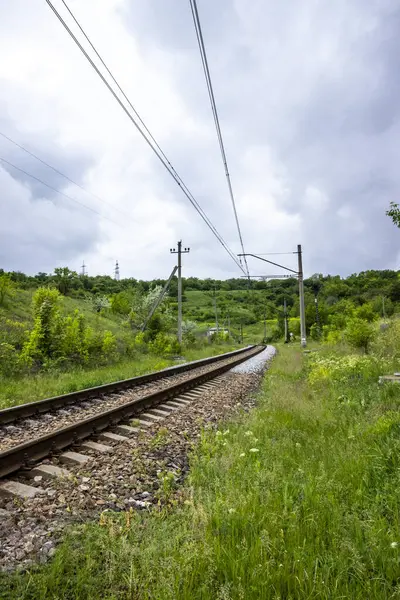 seyahat, demiryolu, raylar, uykucular, elektrik direkleri, yol kenarı manzarası, yol kenarındaki karışık çimenler, yeşil orman şeridi, şehir dışındaki manzara, günlük yaşam, yürüyüş, kırsal, yürüyüş, yolculuk, yol, yol, ulaşım