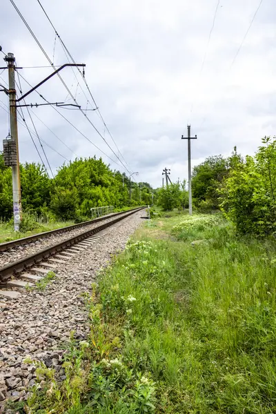 seyahat, demiryolu, raylar, uykucular, elektrik direkleri, yol kenarı manzarası, yol kenarındaki karışık çimenler, yeşil orman şeridi, şehir dışındaki manzara, günlük yaşam, yürüyüş, kırsal, yürüyüş, yolculuk, yol, yol, ulaşım