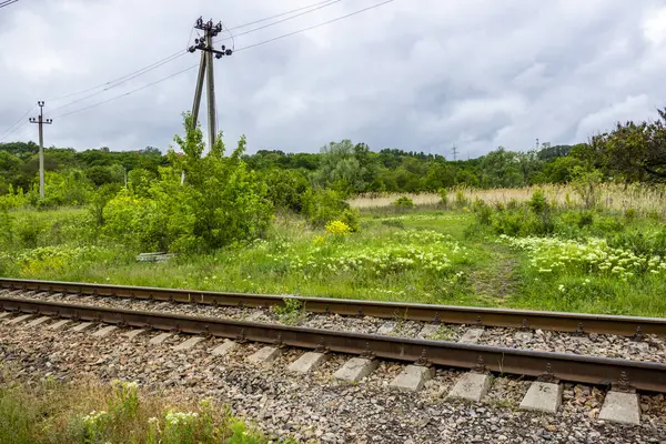  Demiryolu rayları, raylar, uykucular, elektrik direkleri, yan görüş, yeşil orman şeridi, uzak açıklıklar, şehir dışında, manzara, manzara, günlük yaşam, yürüyüş, seyahat, yol, yol, ulaşım