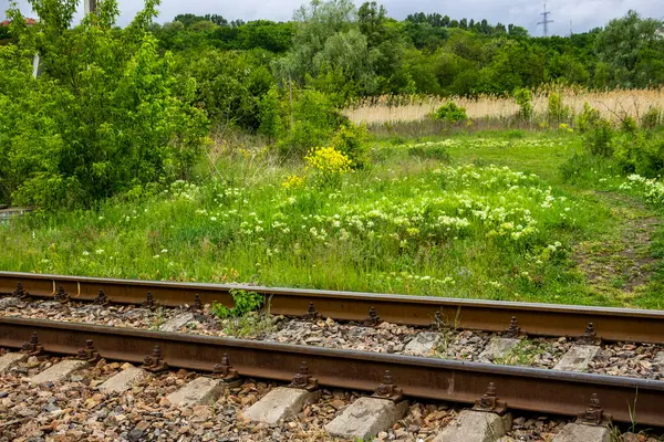  Demiryolu rayları, raylar, uykucular, elektrik direkleri, yan görüş, yeşil orman şeridi, uzak açıklıklar, şehir dışında, manzara, manzara, günlük yaşam, yürüyüş, seyahat, yol, yol, ulaşım