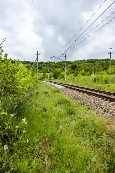 seyahat, demiryolu, raylar, uykucular, elektrik direkleri, yol kenarı manzarası, yol kenarındaki karışık çimenler, yeşil orman şeridi, şehir dışındaki manzara, günlük yaşam, yürüyüş, kırsal, yürüyüş, yolculuk, yol, yol, ulaşım