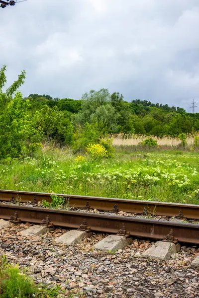  Demiryolu rayları, raylar, uykucular, elektrik direkleri, yan görüş, yeşil orman şeridi, uzak açıklıklar, şehir dışında, manzara, manzara, günlük yaşam, yürüyüş, seyahat, yol, yol, ulaşım