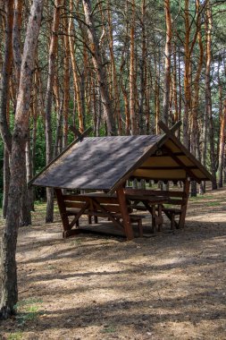 Orjinal ahşap çardak, çam ormanında duruyor, kütüklerden yapılmış, dinlenme yeri, tasarım, iğneler, manzara, çimenler, ağaçlar, seyahat, tatil,