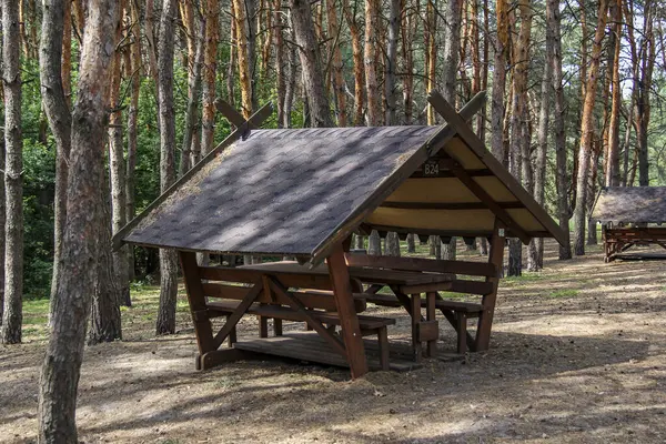 Orjinal ahşap çardak, çam ormanında duruyor, kütüklerden yapılmış, dinlenme yeri, tasarım, iğneler, manzara, çimenler, ağaçlar, seyahat, tatil,